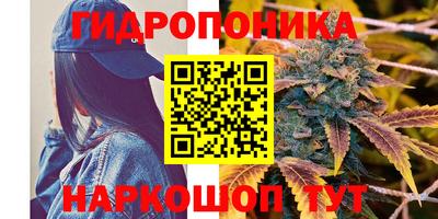 эйфоретик Заводоуковск
