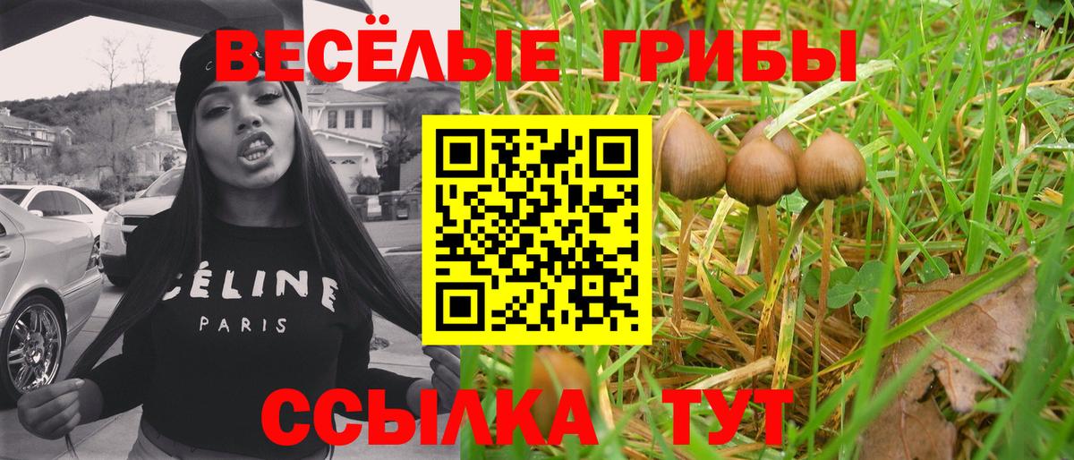 Псилоцибиновые грибы Magic Shrooms  купить наркоту  Нижневартовск  Вход с VPN 