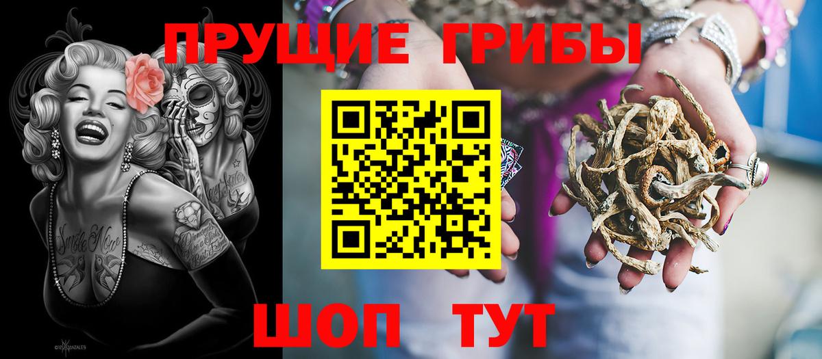 Галлюциногенные грибы Psilocybe Нижневартовск